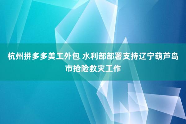 杭州拼多多美工外包 水利部部署支持辽宁葫芦岛市抢险救灾工作