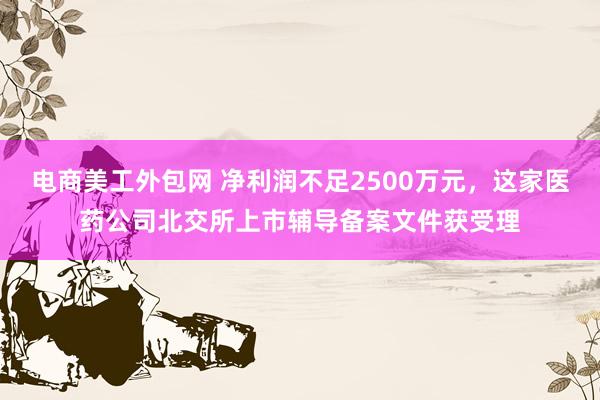 电商美工外包网 净利润不足2500万元，这家医药公司北交所上市辅导备案文件获受理